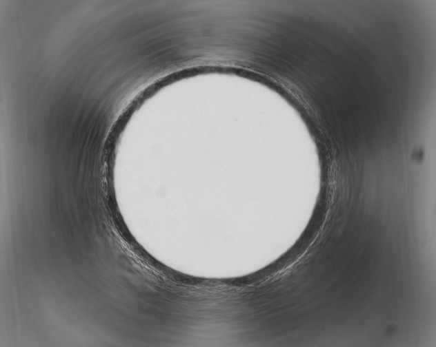 X0000114610926200912010933