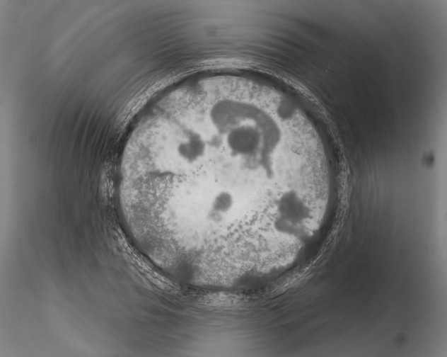 X0000114610929200912010933