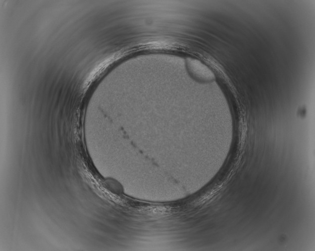 X0000114610930200912010933