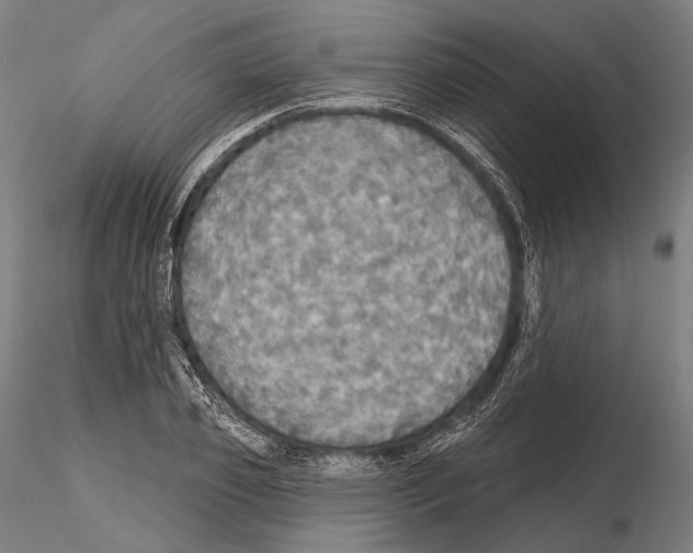 X0000114610933200912010934