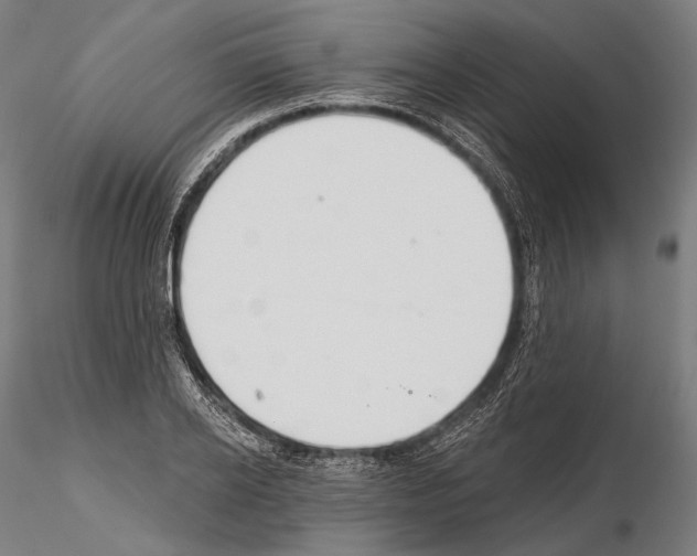 X0000114610934200912010934