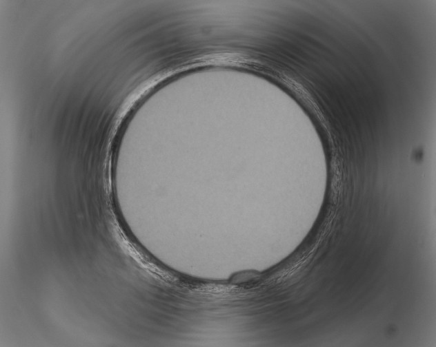 X0000114610939200912010934