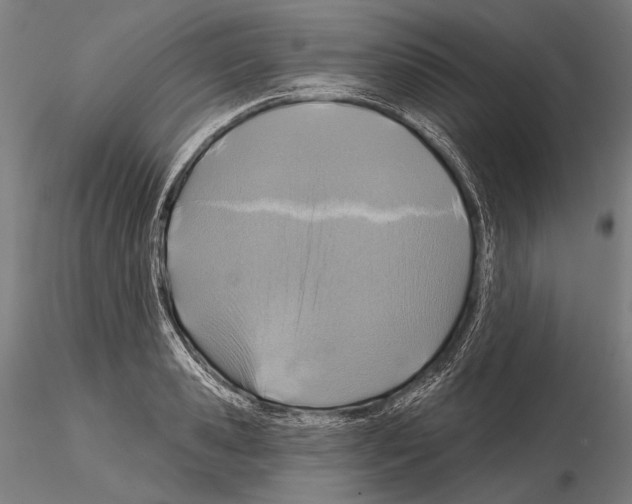 X0000114610941200912010934