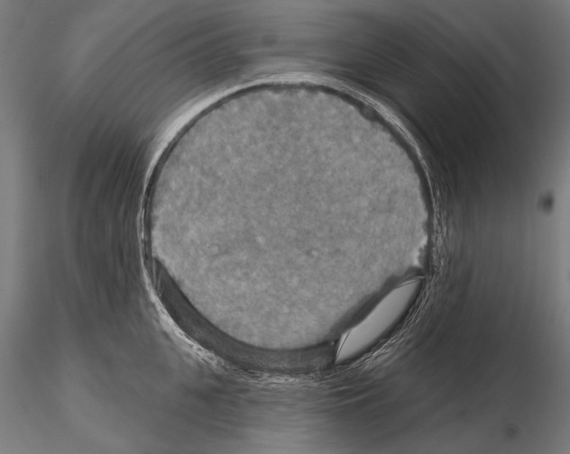 X0000114610951200912010934