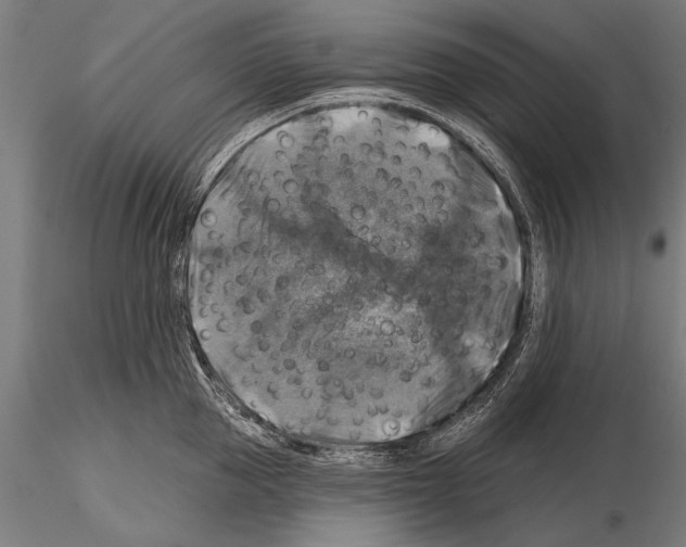 X0000114610953200912010934