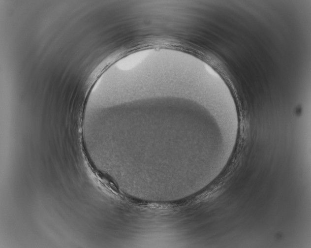 X0000114610954200912010934