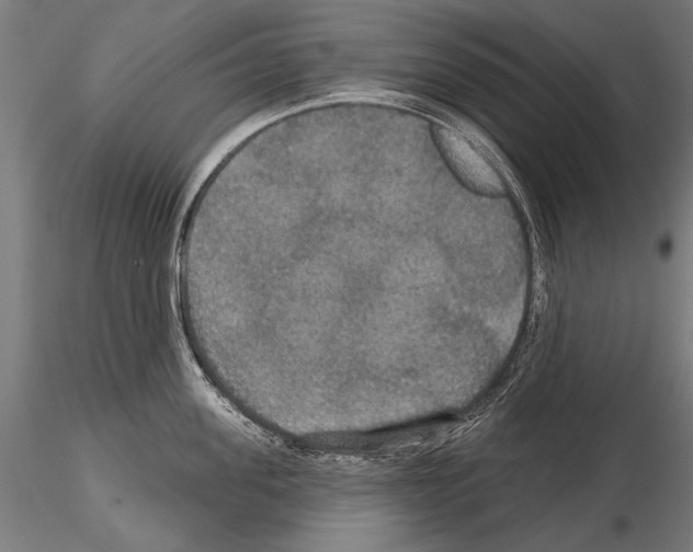 X0000114610955200912010934