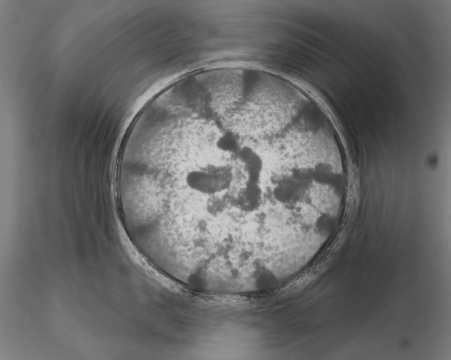 X0000114610957200912010934