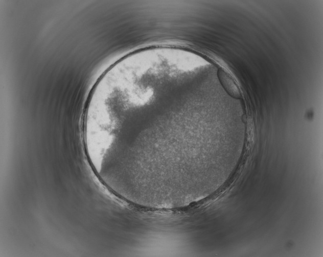 X0000114610959200912010934