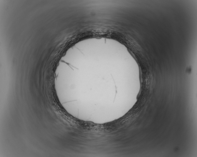 X0000114610961200912010933