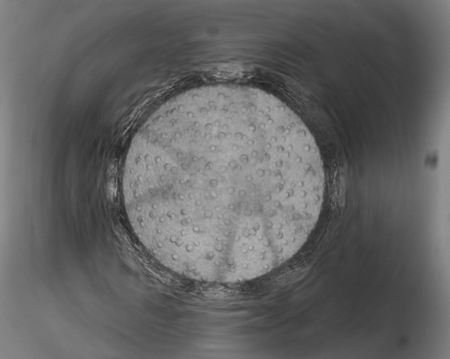 X0000114610962200912010933