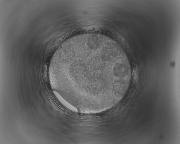 X0000114610963200912010933