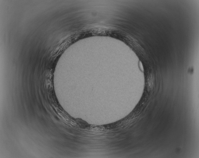 X0000114610964200912010933