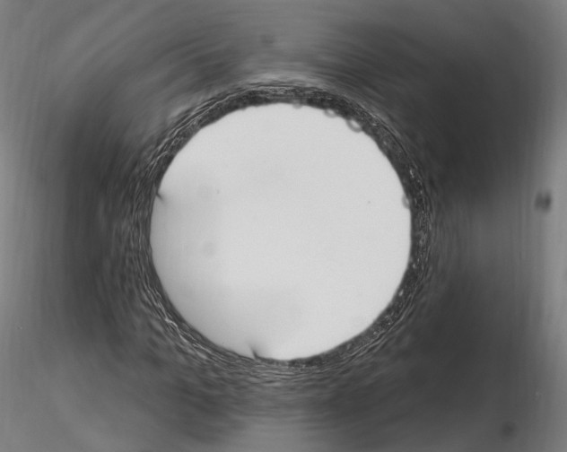 X0000114610965200912010933