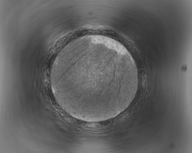 X0000114610966200912010933