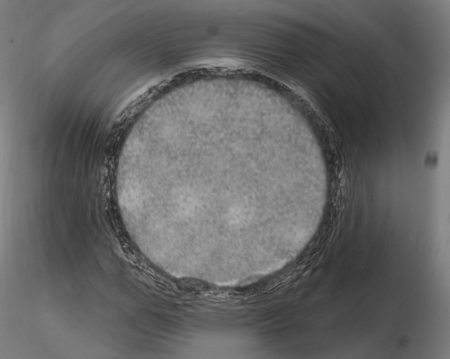 X0000114610967200912010933