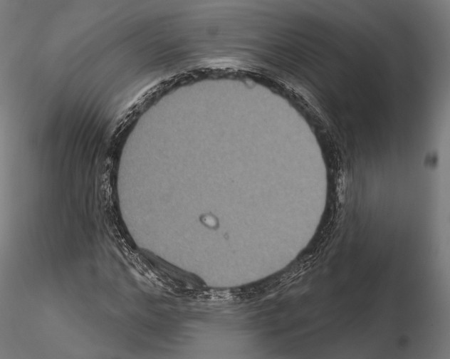 X0000114610968200912010933