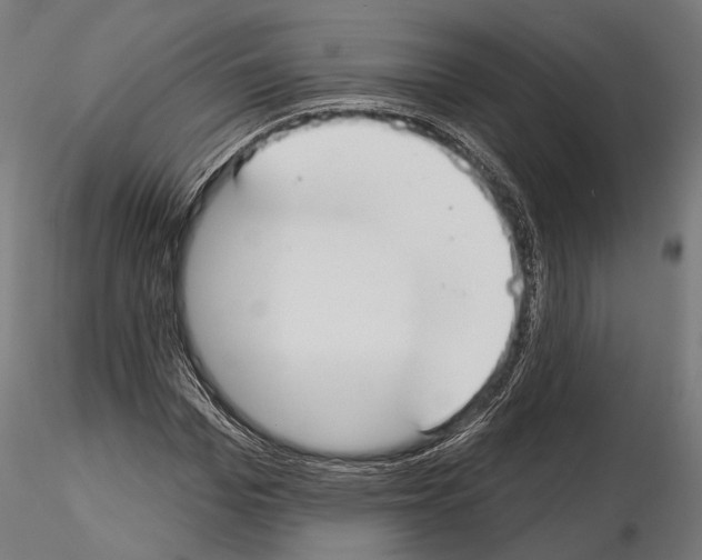 X0000114610969200912010933