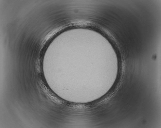 X0000114610970200912010933