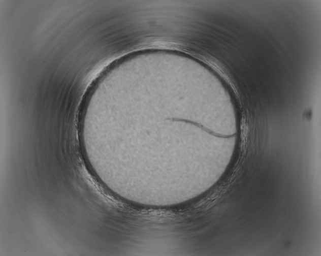 X0000114610972200912010933