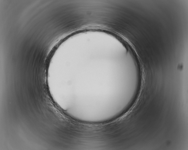 X0000114610973200912010933