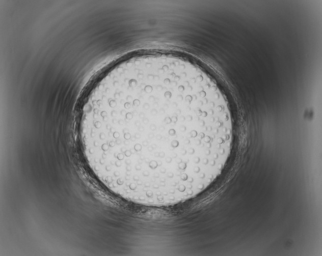 X0000114610974200912010933