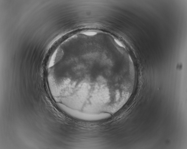 X0000114610975200912010933