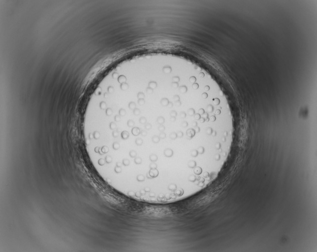 X0000114610978200912010933