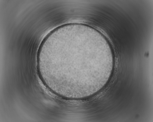 X0000114610980200912010933