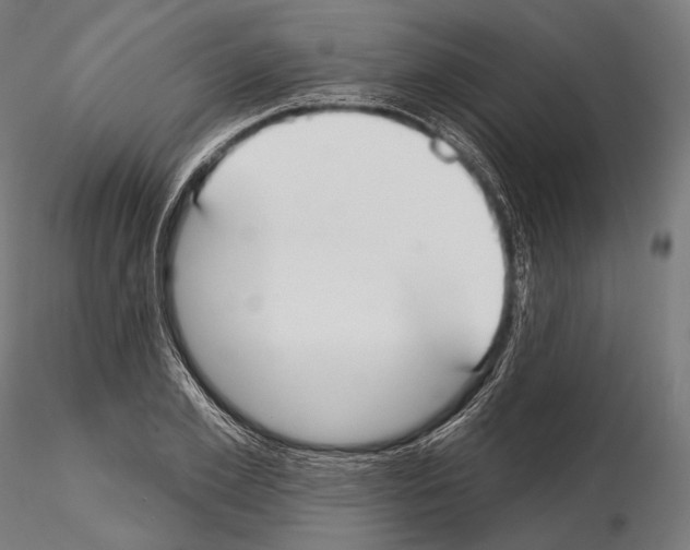 X0000114610981200912010933