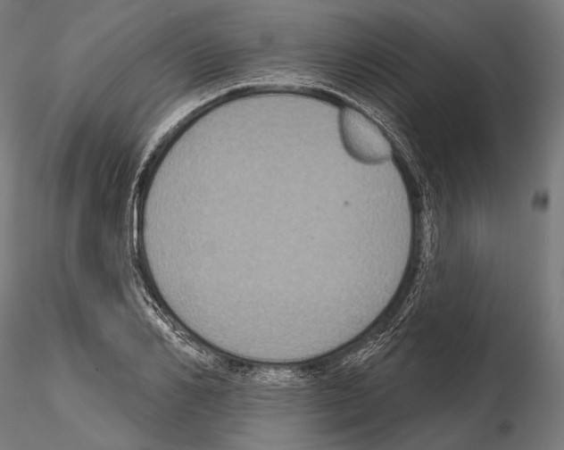 X0000114610982200912010933