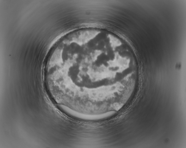 X0000114610983200912010933