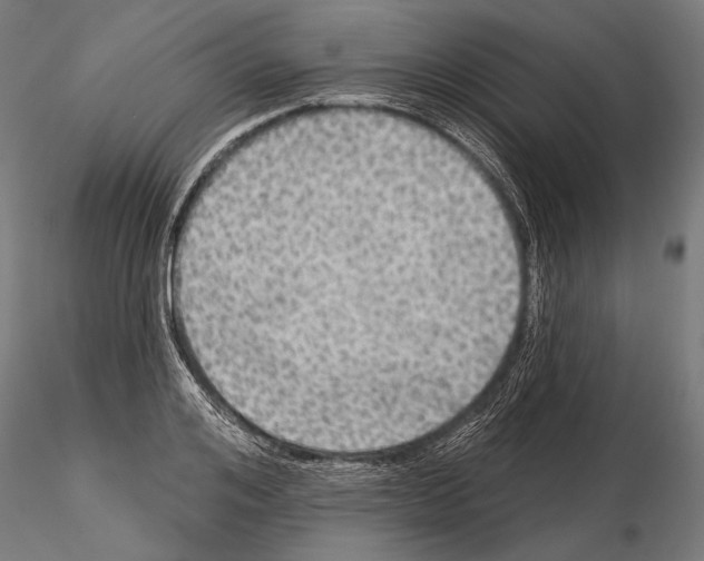 X0000114610984200912010933