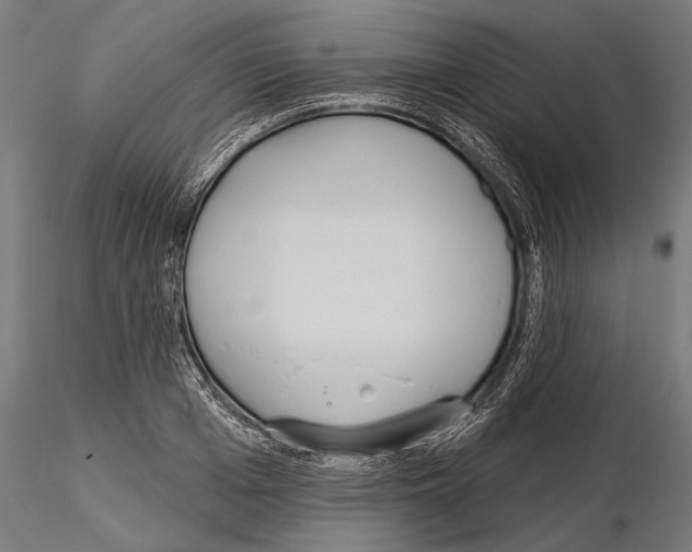 X0000114610985200912010933