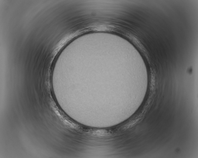 X0000114610986200912010933