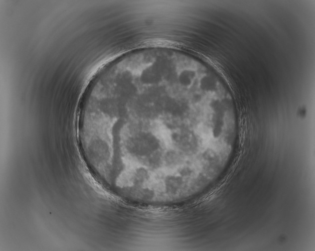 X0000114610987200912010933