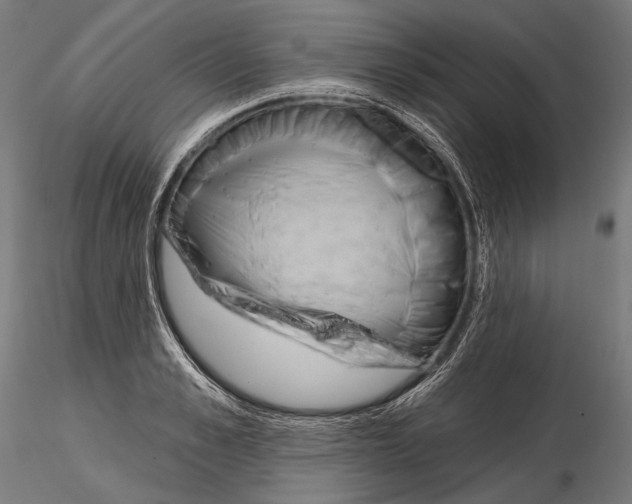 X0000114610989200912010933