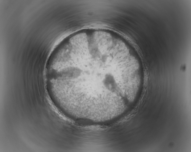 X0000114610990200912010933