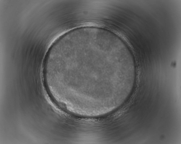 X0000114610991200912010933