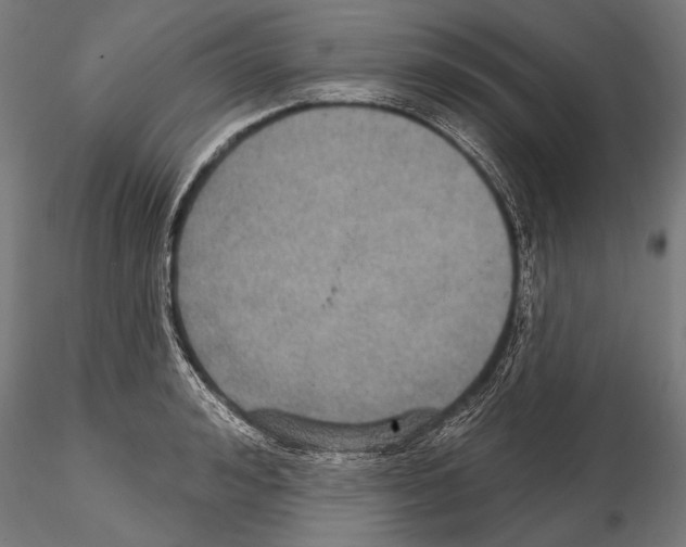 X0000114610992200912010933