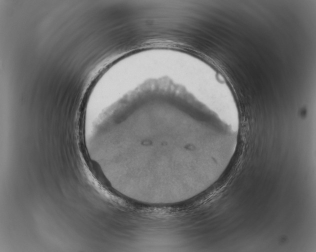 X0000114610995200912010933