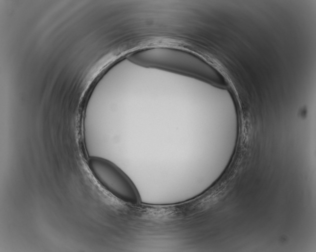 X0000114610997200912010933