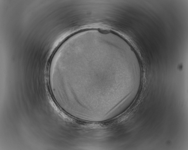 X0000114610998200912010933