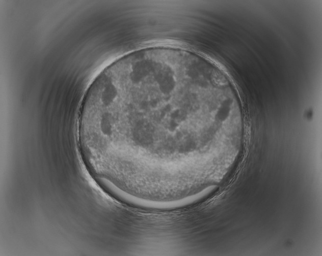 X0000114610999200912010933