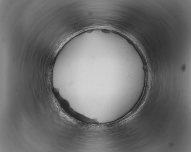 X0000114611001200912010933