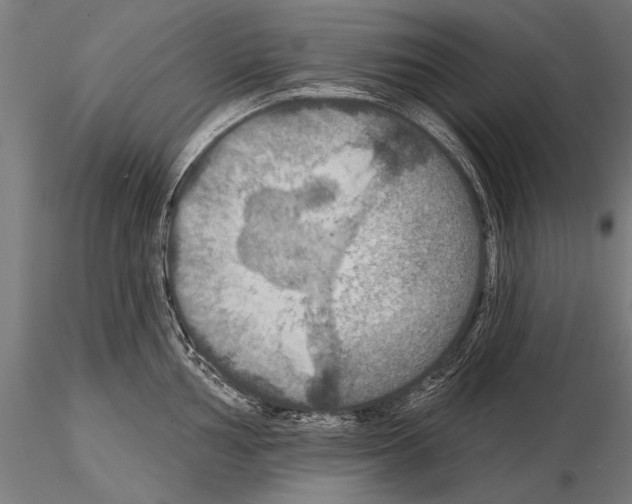 X0000114611002200912010933