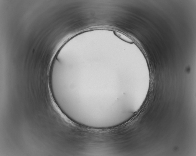 X0000114611005200912010932