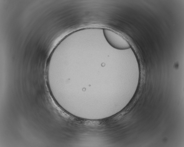 X0000114611006200912010932