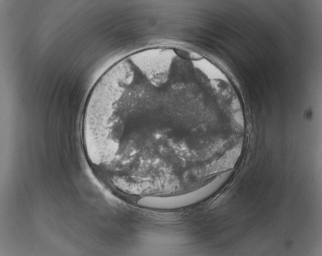 X0000114611007200912010932