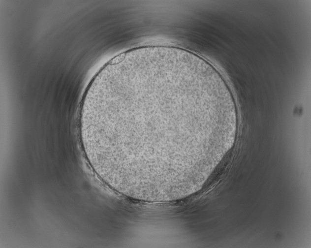 X0000114611008200912010932